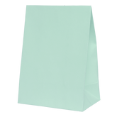 Mint Green Paper Party Favour Bag 10pk